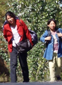 唐朝诡事录第一部高清免费观看